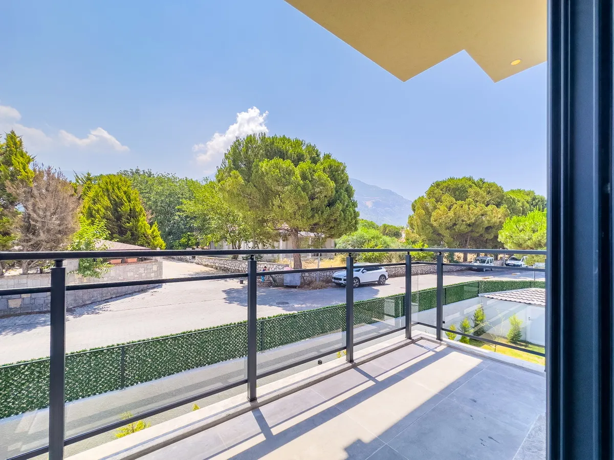 IMG_6664_resize_result