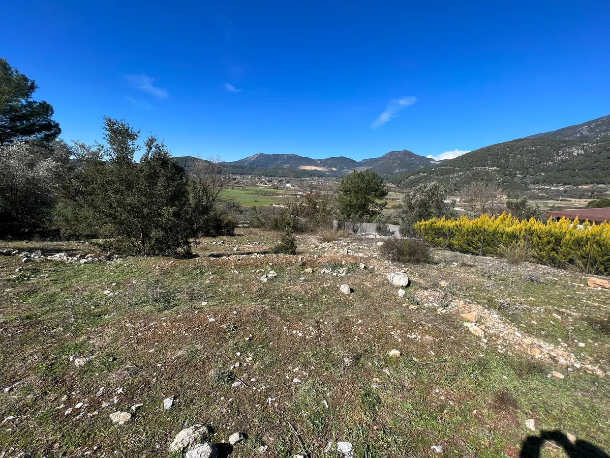 WhatsApp Image 2024-03-26 at 13.05.18 (1)_result