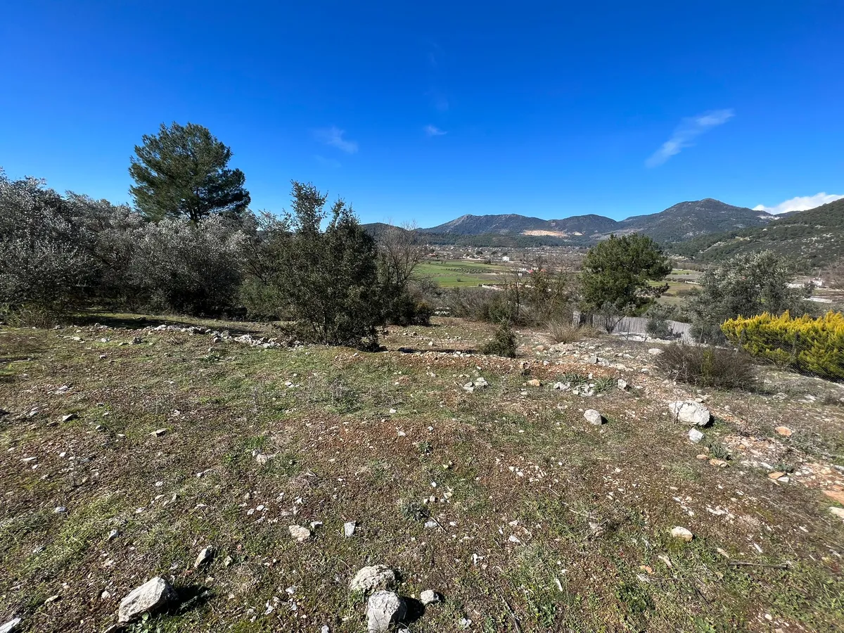 WhatsApp Image 2024-03-26 at 13.05.19_result